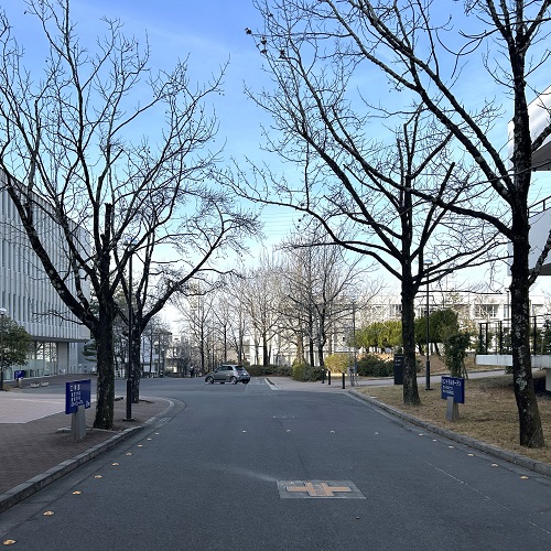 260205_大きく学べ